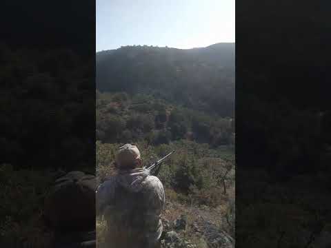 NİZAM AVCI ZİRVE HUNTİNG ORGANİZASYON