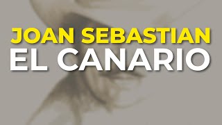Joan Sebastian - El Canario (Audio Oficial)