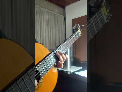 La Villerita - Horacio Guarani