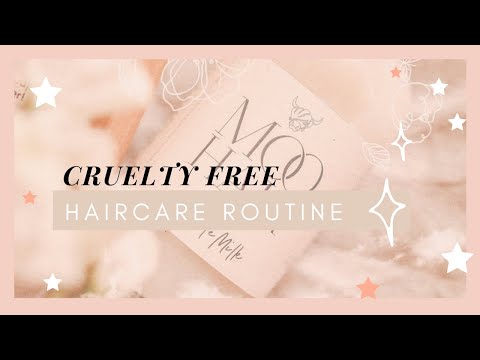 CRUELTY FREE HAIRCARE ROUTINE | QUICK EASY ORGANIC VEGAN HAIRCARE