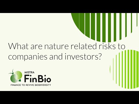 What are nature related risks to companies and investors?