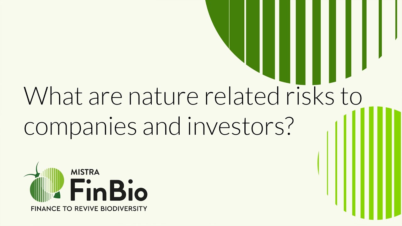 What are nature related risks to companies and investors?