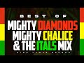 BEST OF MIGHTY CHALICE MIGHTY DIAMONDS THE ITALS MIX FOUNDATION ROOTS MIX KING JAMES