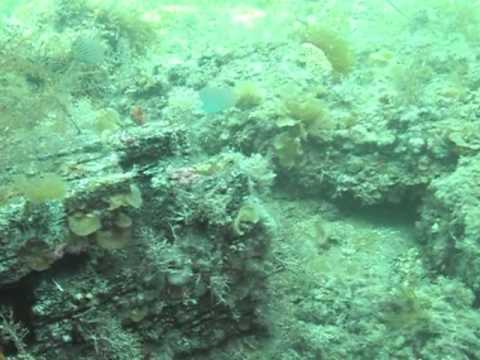 Busselton Jetty Scuba Dive