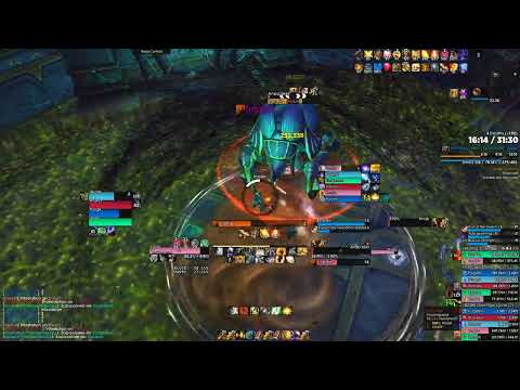 LightSmith Protection Paladin Tank POV Ara-Kara, City of Echoes Mythic +17 | Tyrannical Fortified S1