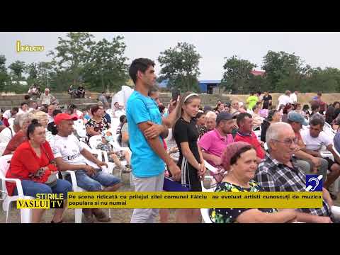 SÂNZIENE LA FĂLCIU