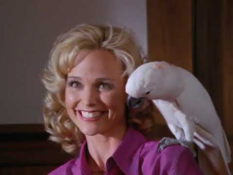 Renegade (El Renegado) Lorenzo Lamas -  La Indian Maltesa (The Maltese Indian) - Castellano