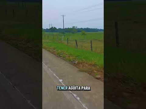 ¿Ya conocías Mesetas - Meta?