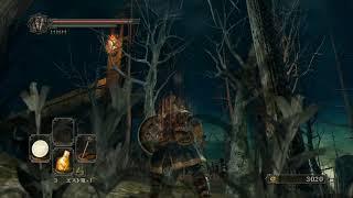 ササキチのゲーム実況　DARK　SOULSⅡに挑戦その8