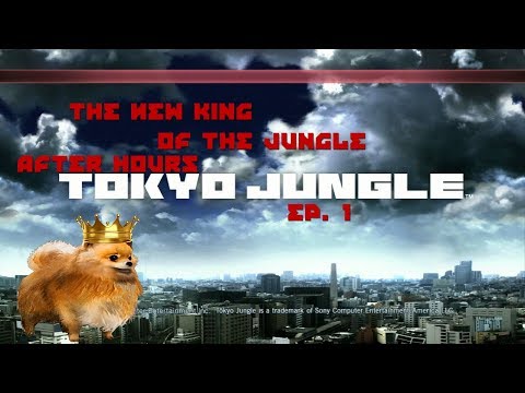 There's A New King Of The Jungle! (After Hours: Tokyo Jungle Ep. 1)