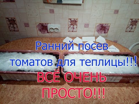 КАК ПРОЩЕ ПОСЕЯТЬ СЕМЕНА ТОМАТОВ И ПЕРЦЕВ.