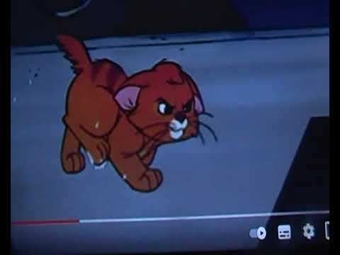 scenes for Cooldzane The Cat King Part 9 Stampede