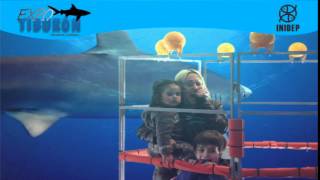 DIA 2 Expo Tiburon47