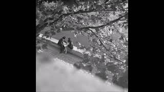 Bir Rüyanın Peşine Music Video