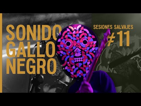 #11 Sesiones Salvajes Cervecería Hércules - Sonido Gallo Negro