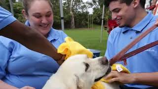 SoCal Honda Dealers Estamos aquí para echarte una mano en tus concesionario