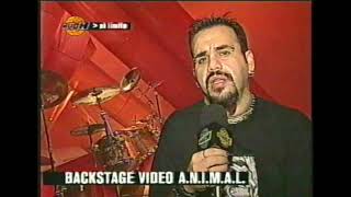 A.N.I.M.A.L. - Backstage &quot;Gritemos para no olvidar&quot;