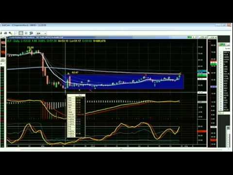 July 27th Tiger Technicians Hour with Basil Chapman