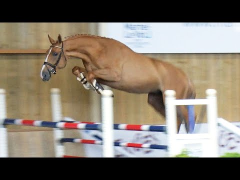 93 - TATTOO VD BISSCHOP