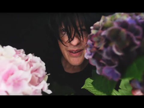 Jasmin Albash - Goddess (cover)