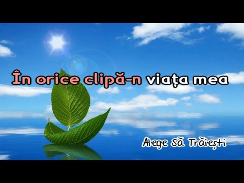 În orice clipa in viata mea - Negativ Crestin