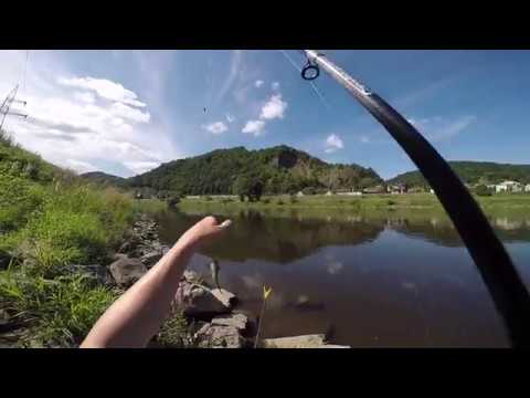 LOV MOŘSKÝCH OBLUDEK NA KUKUŘICI S CHILLI OMÁČKOU