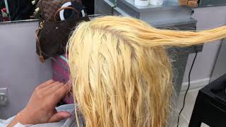 How To Bleach Dark Hair Blonde...in 1 Sitting!