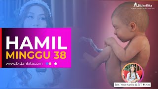 Download lagu Week 38- Pregnancy Week by Week mp3