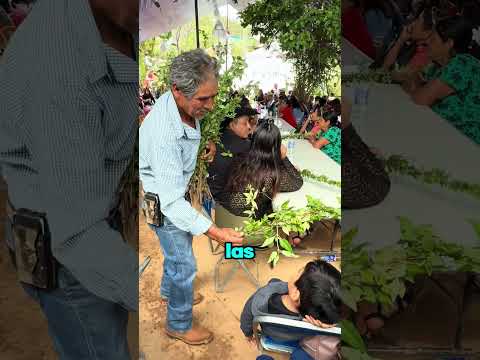 Este señor tenía que entregarle una planta a cada invitado, San José la Garzona #shorts #tradiciones