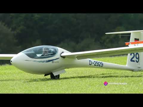 Soaring High: Top 5 Fastest Gliders in the World