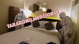 Kambario ''svečiai''