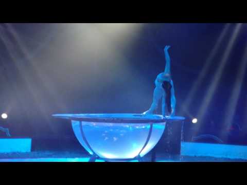 KATARINA SEBESTYANOVA