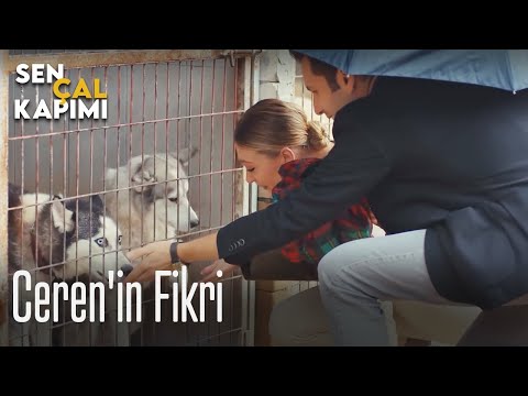 Ceren'in fikri - Sen Çal Kapımı