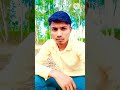 Mangal Bhavan Amangal Hari Short