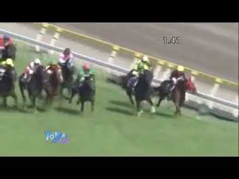 Orfevre  Satsuki Shō  2011