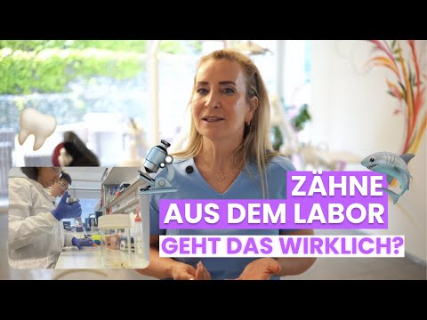 Zähne nachwachsen lassen: Die Zukunft der Zahnmedizin?