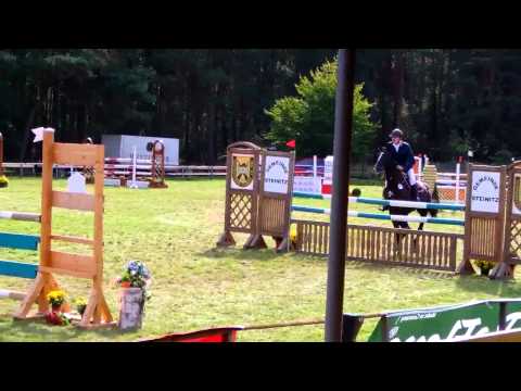 7j wallach 1,75m,MB gewonnenMA platz