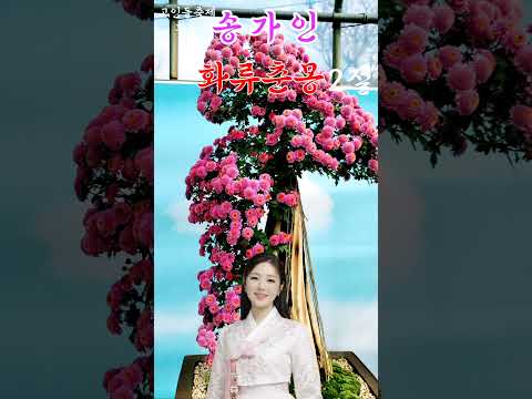 송가인💕화류춘몽2절 ✨️화순 고인돌축제 배경영상