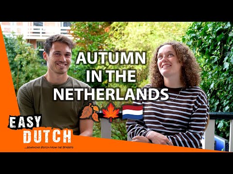 What Do the Dutch Do in Autumn? (in Slow Dutch) | Super Easy Dutch 42