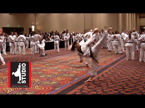 Master Amitis Pourarian 7th Degree Black Belt Testing