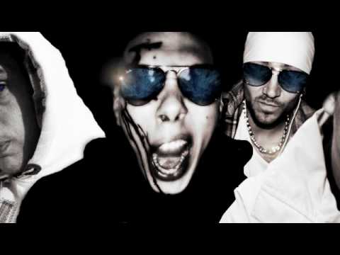 freestyle mad in 60.14 (street tape 60.14)-KENNEL-L ARTISEUR-MEDA-VINZ LE GOSSE BORNé.