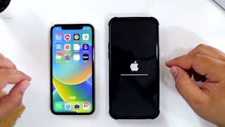 How to Transfer Data from Old iPhone to New iPhone?