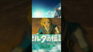 ハート減ってこんな喜ぶ奴いる？【ティアーズ オブ ザ キングダム】 #shorts