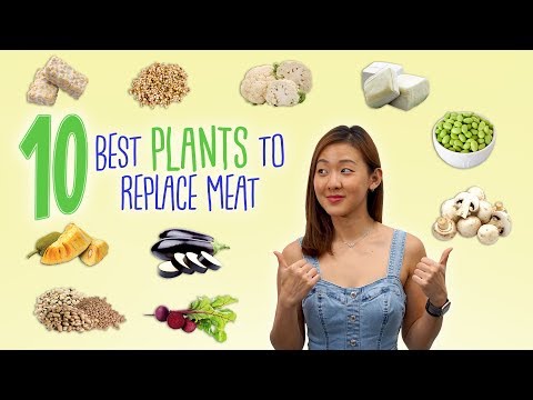 10 Best PLANTS to Replace Meat (Vegan) | Joanna Soh