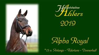 Video koně Alpha Royal