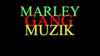 Marley Gang Muzik Mafia - Goin Dumb