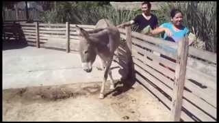 Salida al Zoo de Bs As