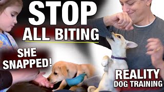 How you can STOP All Biting… Even THIS Type… Actuality Canine Coaching