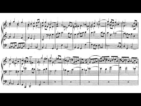 J.S. Bach - Toccata and Fugue in D minor, BWV 538 "Dorian" {Peter Hurford}