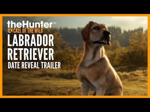  Reveal Trailer | Labrador Retriever #dlc Arriving November 28 #theHunterCOTW 